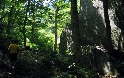 Bouldering